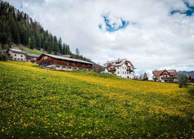 Immagine: Agriturismo Tieshof